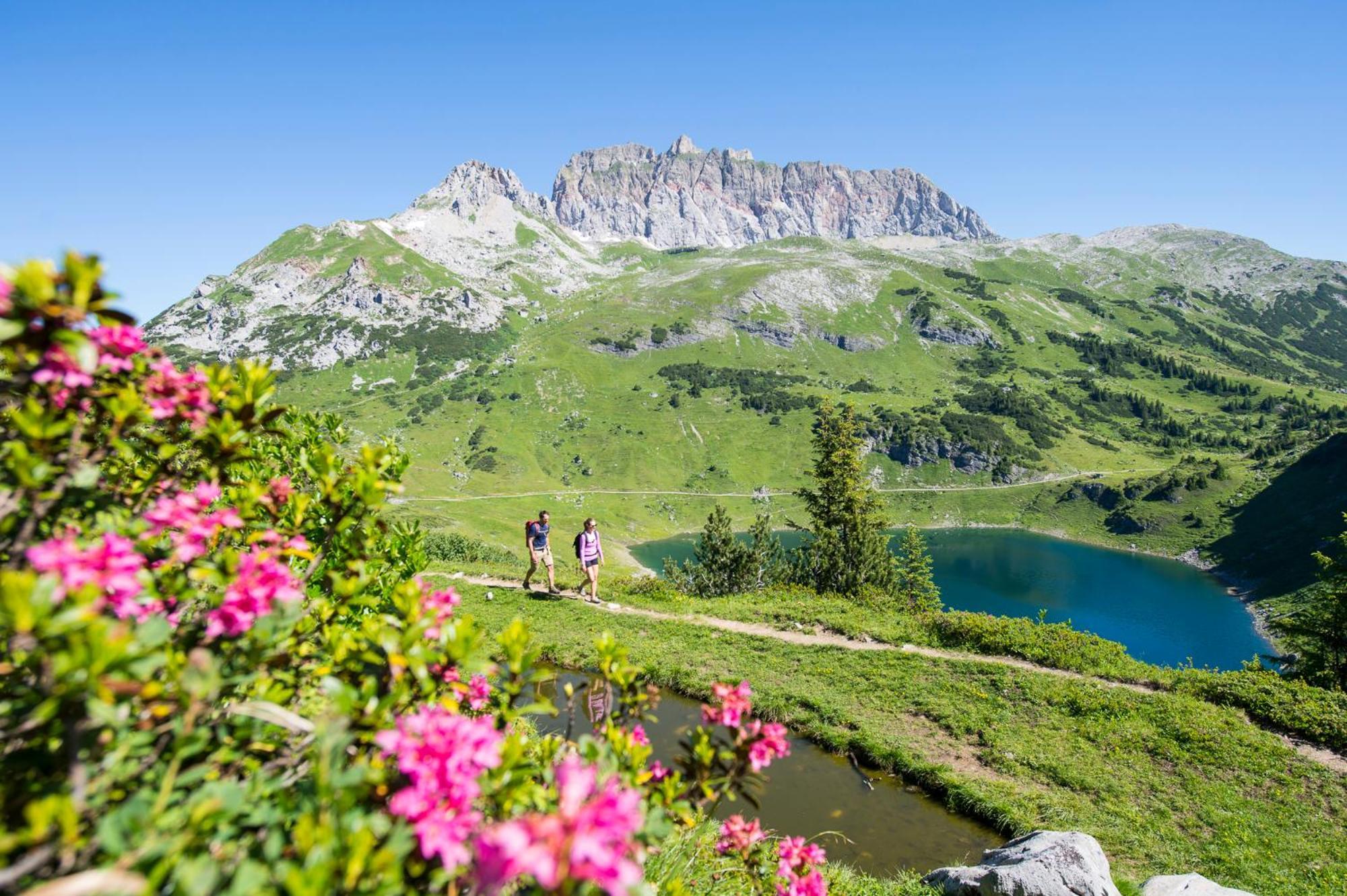 Mooroom Далас Экстерьер фото